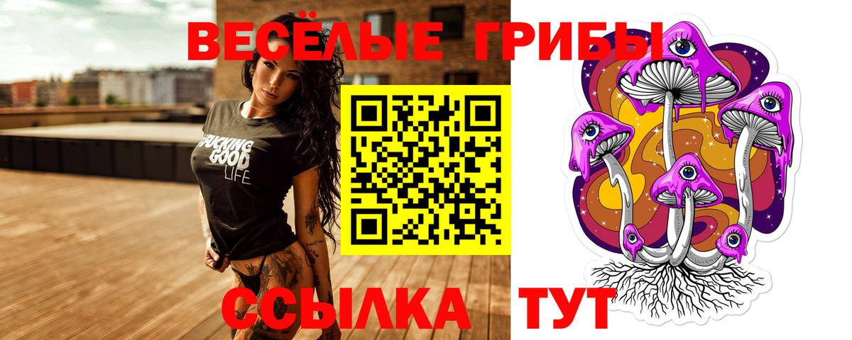 Псилоцибиновые грибы Magic Shrooms Минусинск